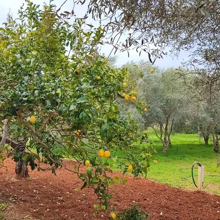 אלגהרו Casa Vacanze Da Nonna Mela מראה חיצוני תמונה