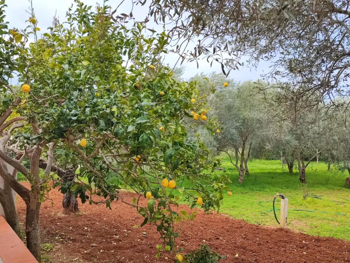 אלגהרו Casa Vacanze Da Nonna Mela מראה חיצוני תמונה
